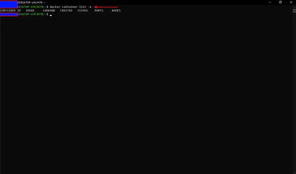 Ubuntu terminal showing successful output from docker container list -a command