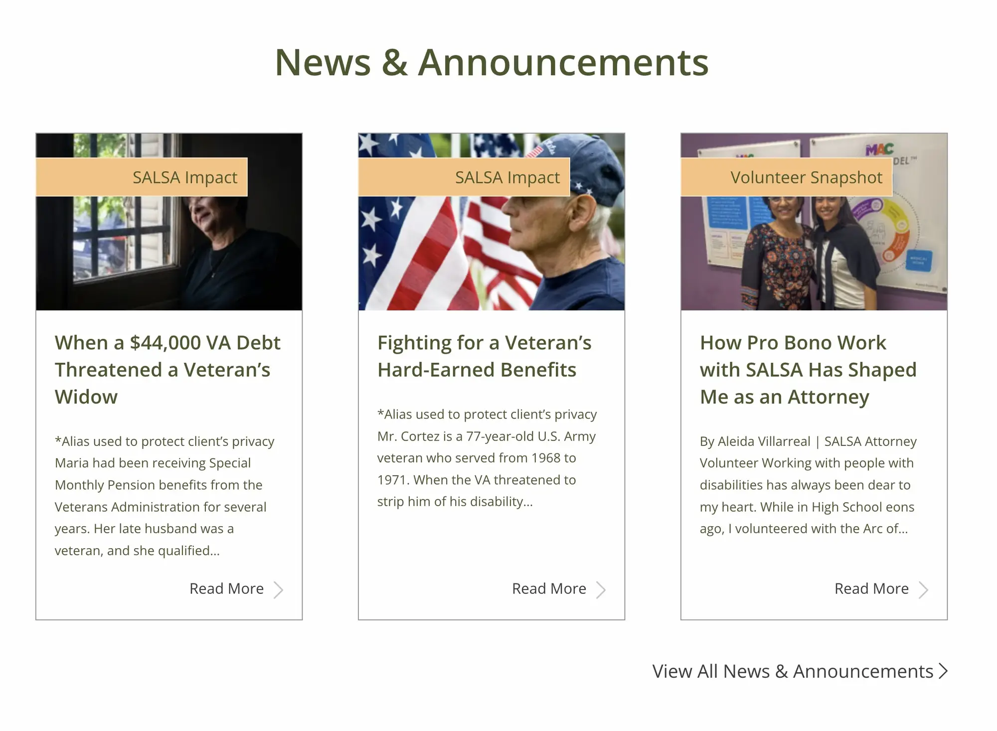 SALSA homepage news and announcements section