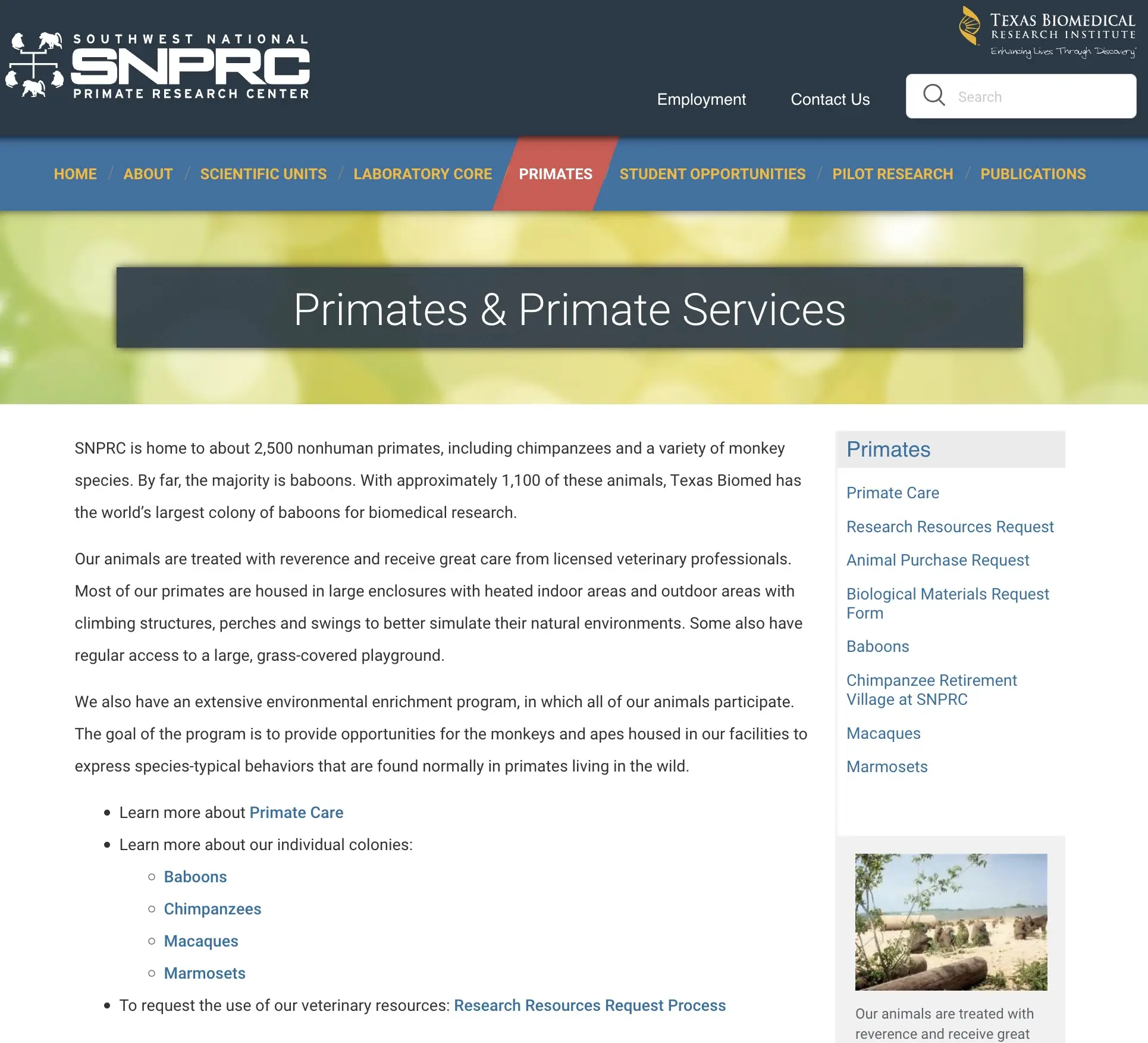 Primates and Primate Services section entry page on SNPRC