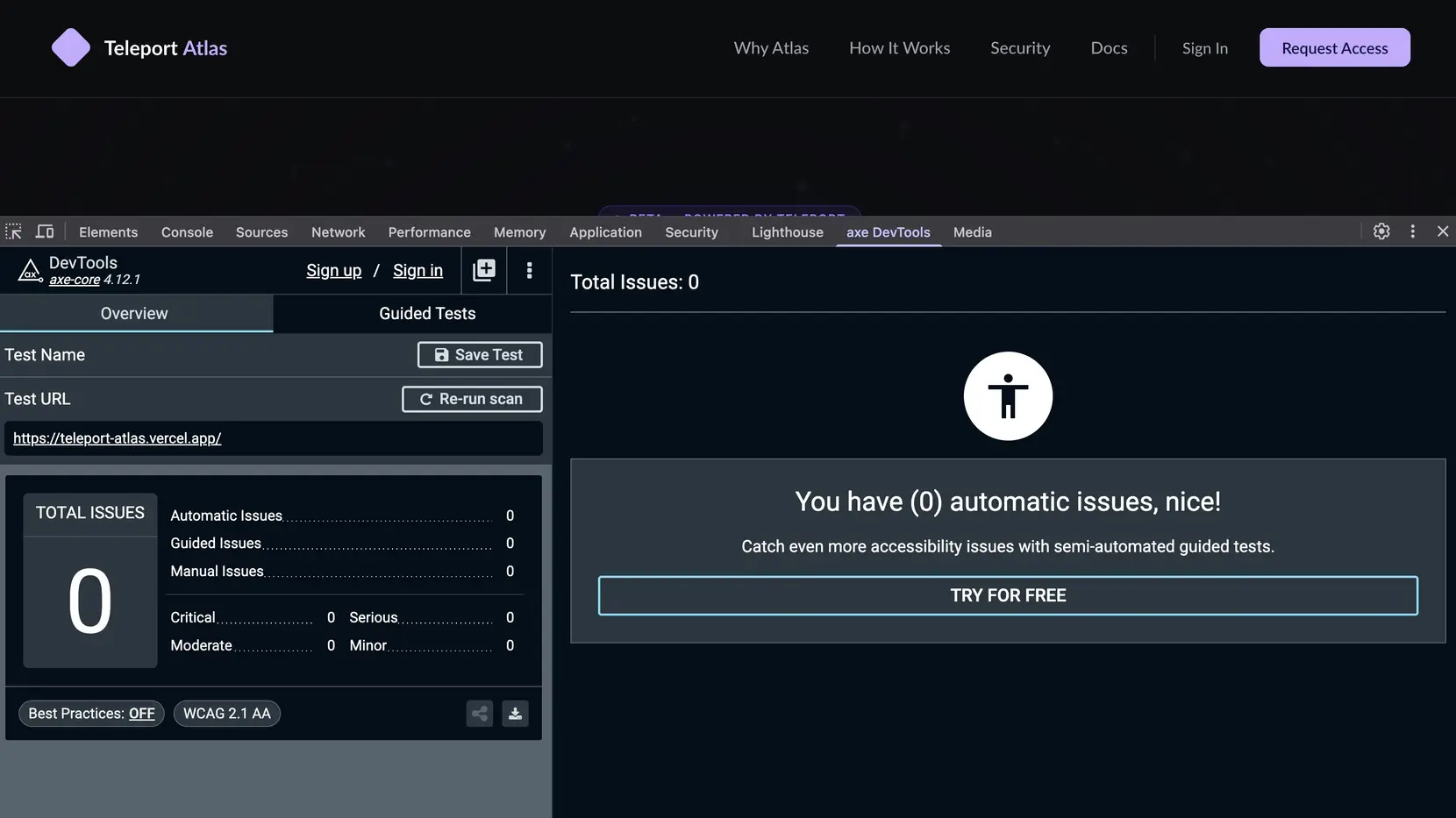 axe DevTools reporting zero automatic issues on the page